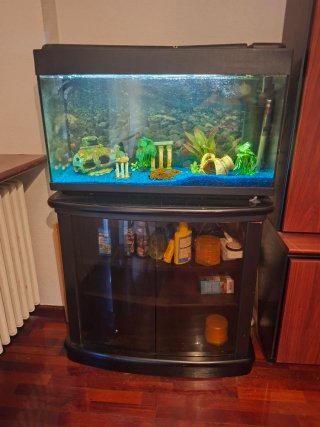 Acuario Completo con Mueble y Peces