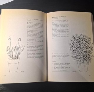 ENCICLOPEDIA PRACTICA DE JARDINERIA Y FLORICULTURA