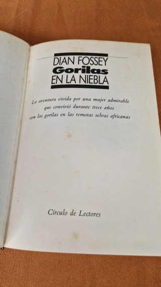 Gorilas en la niebla