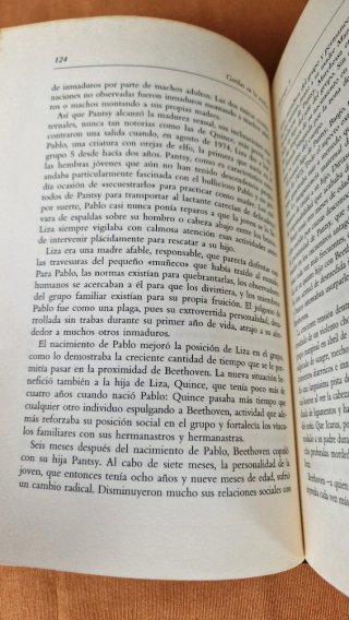 Gorilas en la niebla