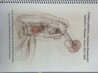 Apuntes de Anatomía Humana de 1 de Medicina