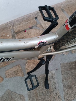 Bicicleta Montaña Rodado 26 Globetrotter
