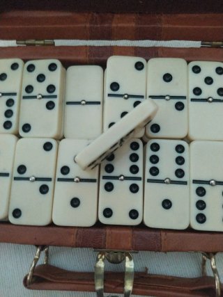 Juego de Dominó en Estuche