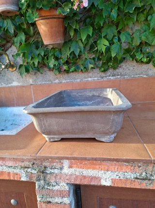 Maceta bonsái rectangular 45cm sin esmaltar