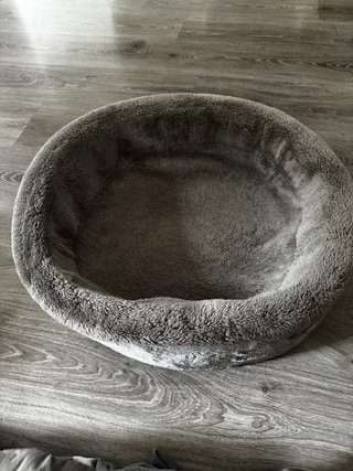 Lote de camas para perro con regalo mantita