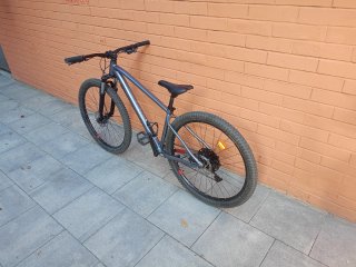 Rockrider EXPL520 L