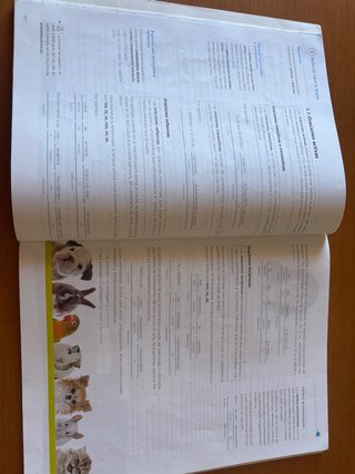 Lengua y Literatura, 2 ESO, Operación mundo