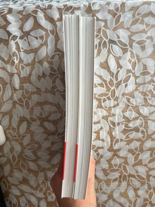 Lote de dos libros de Lola Vendetta