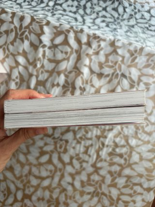 Lote de dos libros de Lola Vendetta