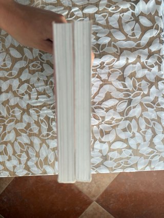 Lote de dos libros de Lola Vendetta