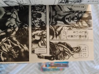 30 tomos Jojo bizarre adventure en japones steel