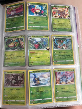 Cartas Pokémon Steenee, Ledian, Pinsir, Rotom