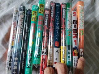 Manga en japones variado Vinland Saga