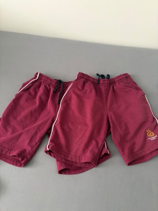 Pantalones cortos colegio Sagrada Familia