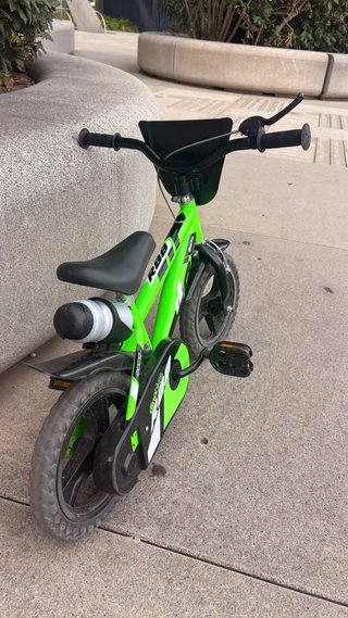 Bicicleta Infantil Dino Bikes Verde
