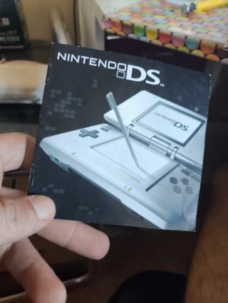 Manual Nintendo DS