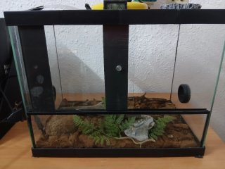 Terrario para Reptiles con Accesorios