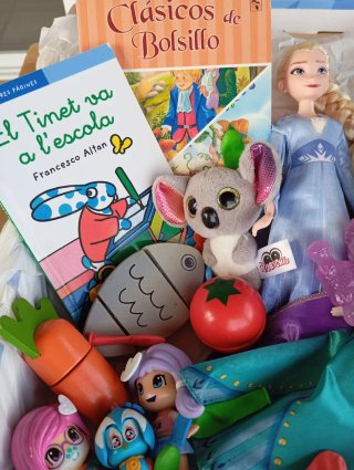 Lote Frozen Elsa Anna + Peluches y Libros