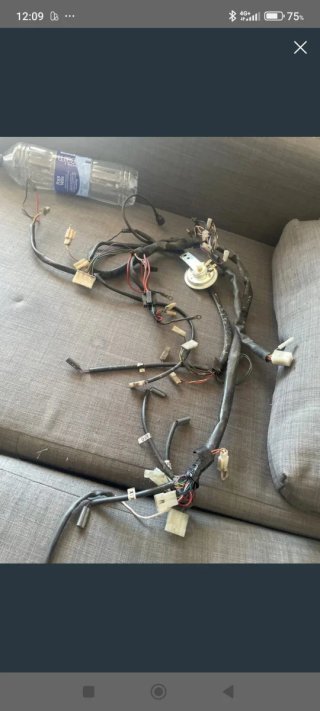 Cableado eléctrico Beta Ark