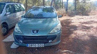 Peugeot 307 2005
