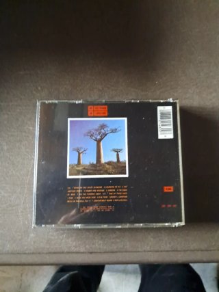 CD Pink Floyd Delicate Sound of Thunder