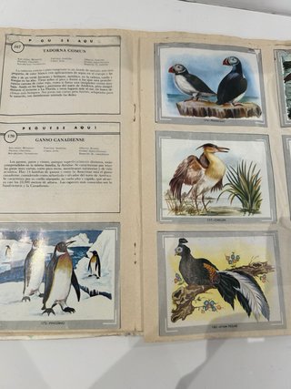 Álbum cromos Vida y color