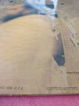 Vinilo Topo