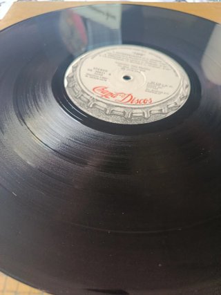 Vinilo Topo