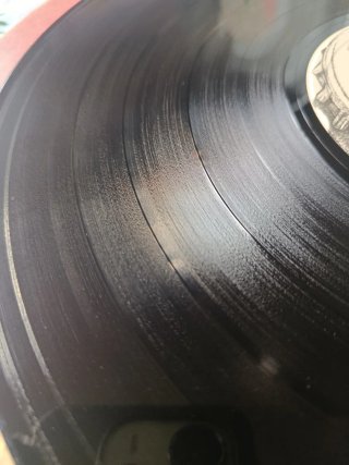 Vinilo Topo