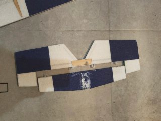 Avión RC