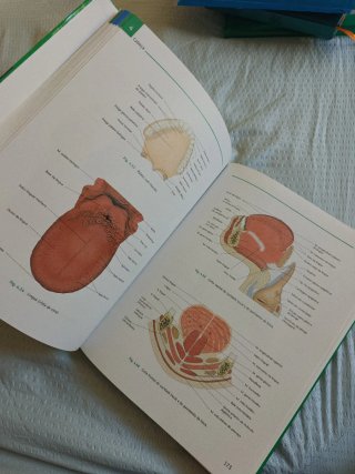 Atlas de anatomia