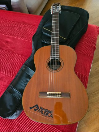 Chitarra classica con custodia