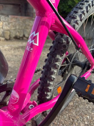 Bicicleta Monty Junior Rosa