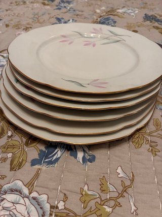 6 Platos Porcelana con Borde Dorado