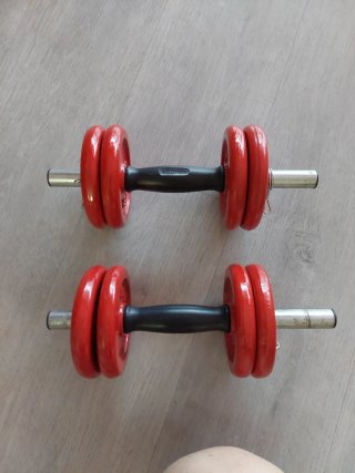 Mancuernas Salter Ajustables Rojas