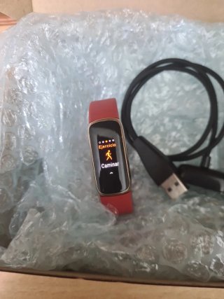 Google Fitbit Luxe
