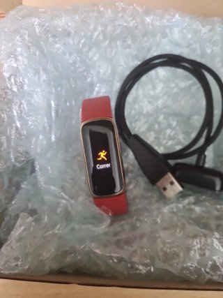 Google Fitbit Luxe