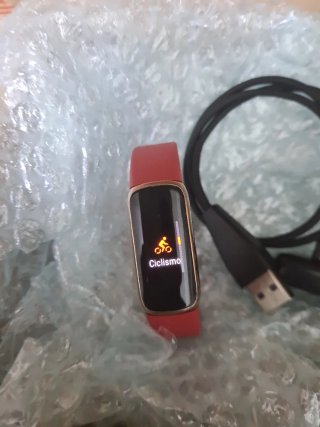 Google Fitbit Luxe