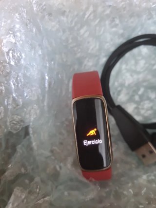 Google Fitbit Luxe