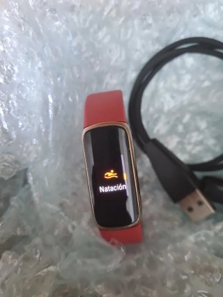 Google Fitbit Luxe
