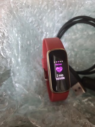 Google Fitbit Luxe