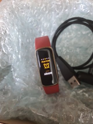 Google Fitbit Luxe