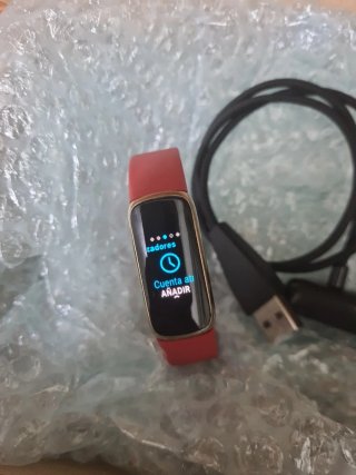 Google Fitbit Luxe