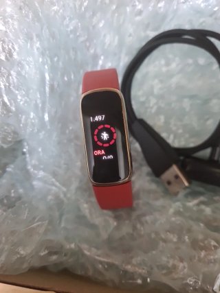 Google Fitbit Luxe