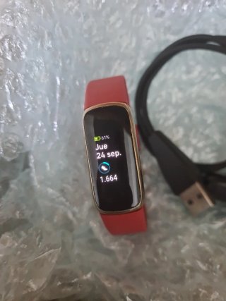 Google Fitbit Luxe