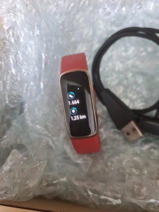 Google Fitbit Luxe