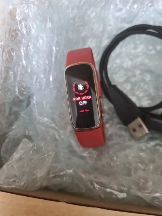 Google Fitbit Luxe