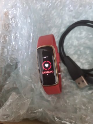 Google Fitbit Luxe