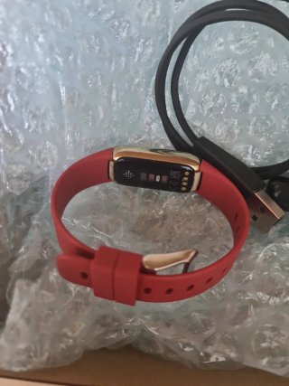 Google Fitbit Luxe