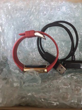 Google Fitbit Luxe